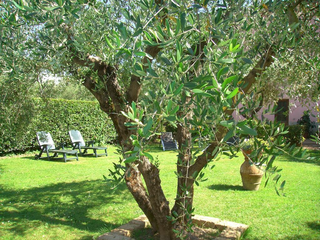Tenuta Fagnani Лука Стая снимка