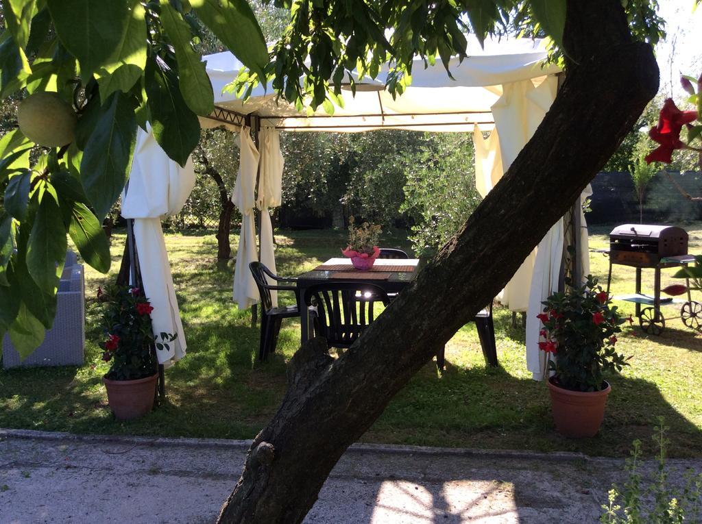 Tenuta Fagnani Лука Екстериор снимка