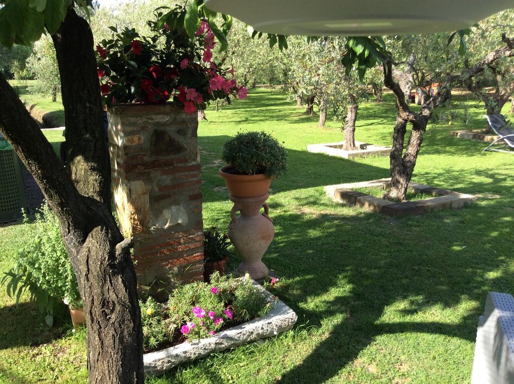 Tenuta Fagnani Лука Екстериор снимка