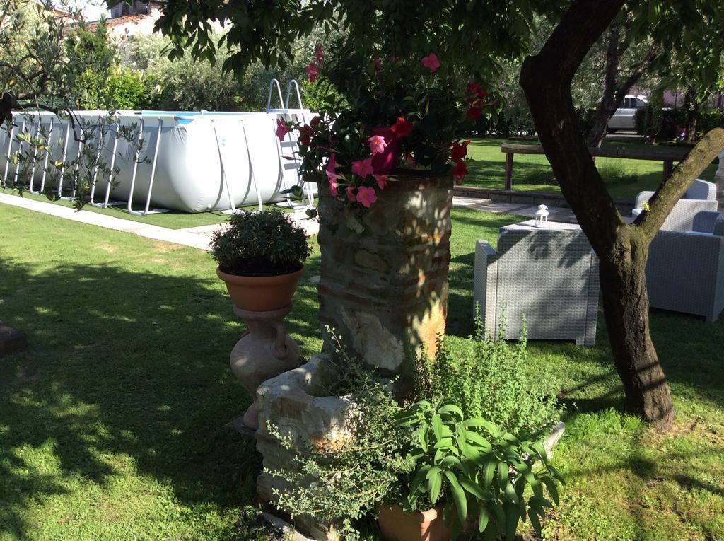 Tenuta Fagnani Лука Екстериор снимка