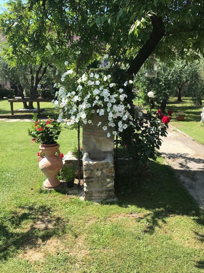 Tenuta Fagnani Лука Екстериор снимка