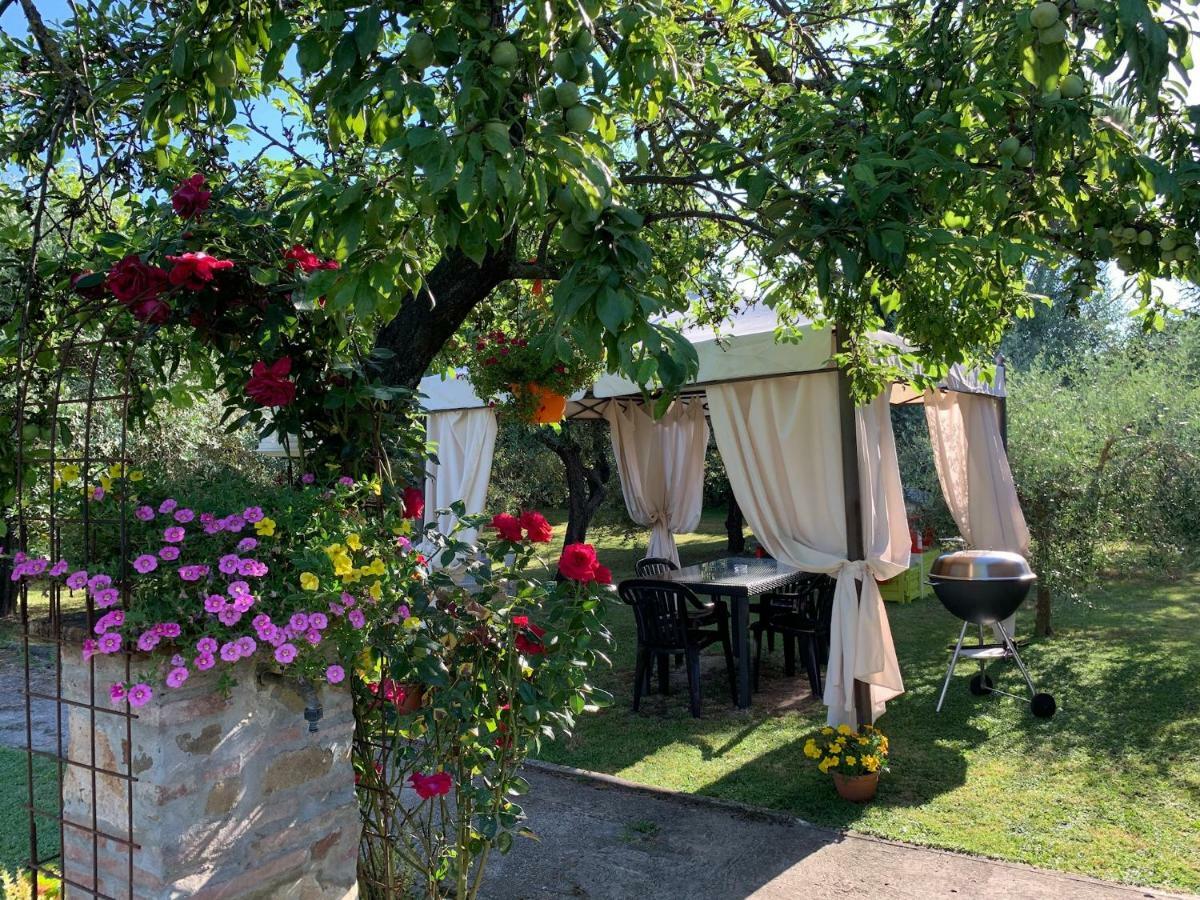 Tenuta Fagnani Лука Екстериор снимка